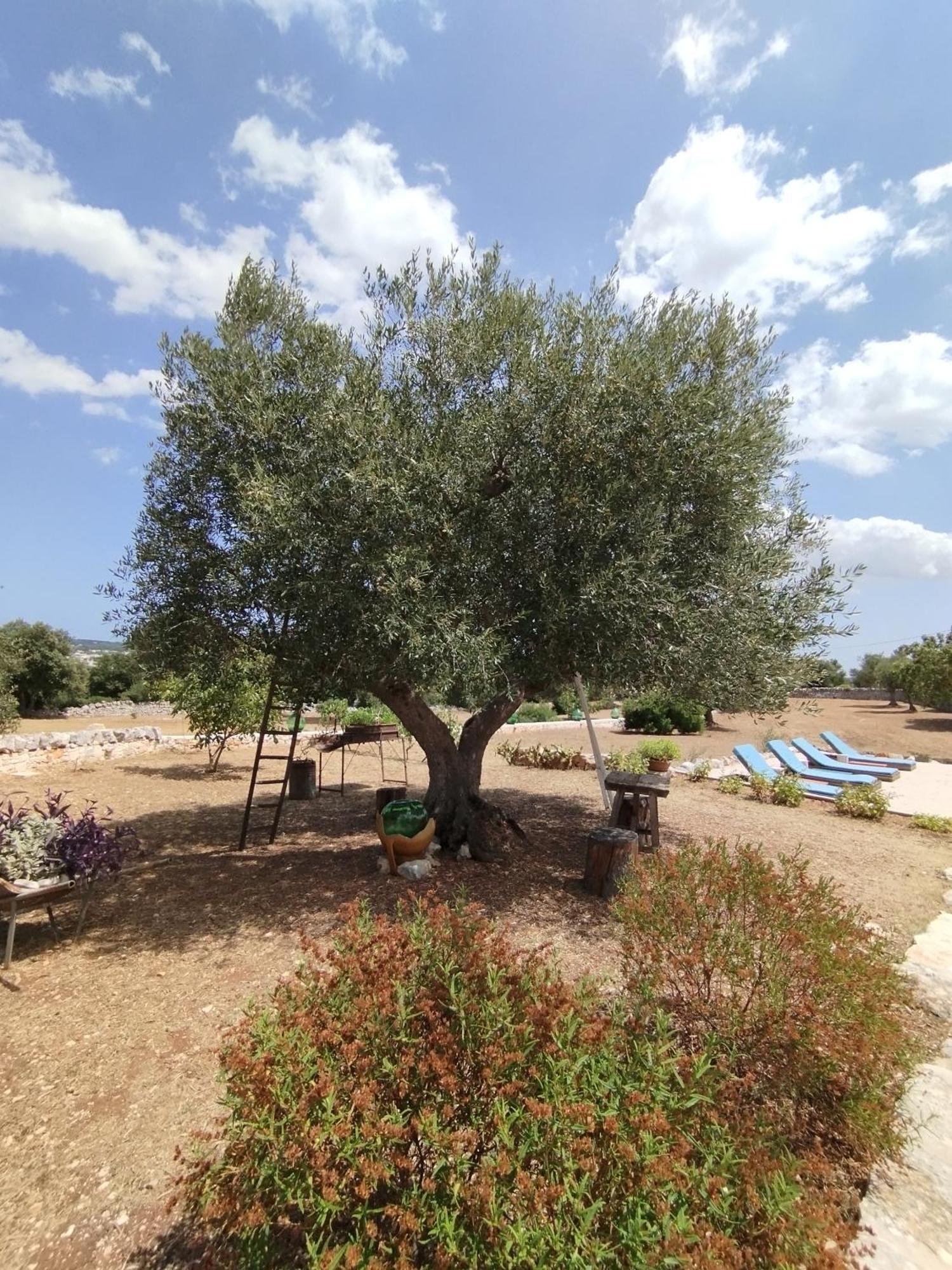 Trullo Gio Holiday home