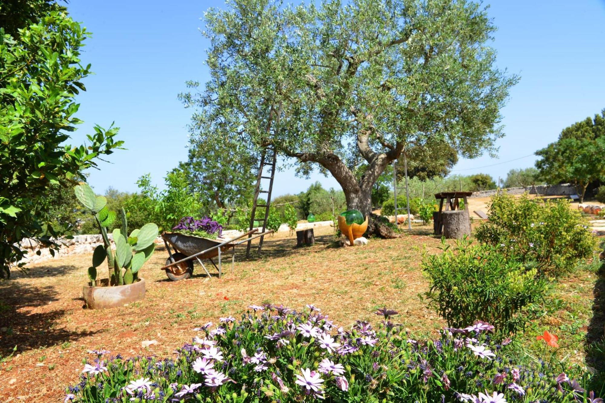 Trullo Gio Holiday home Cisternino