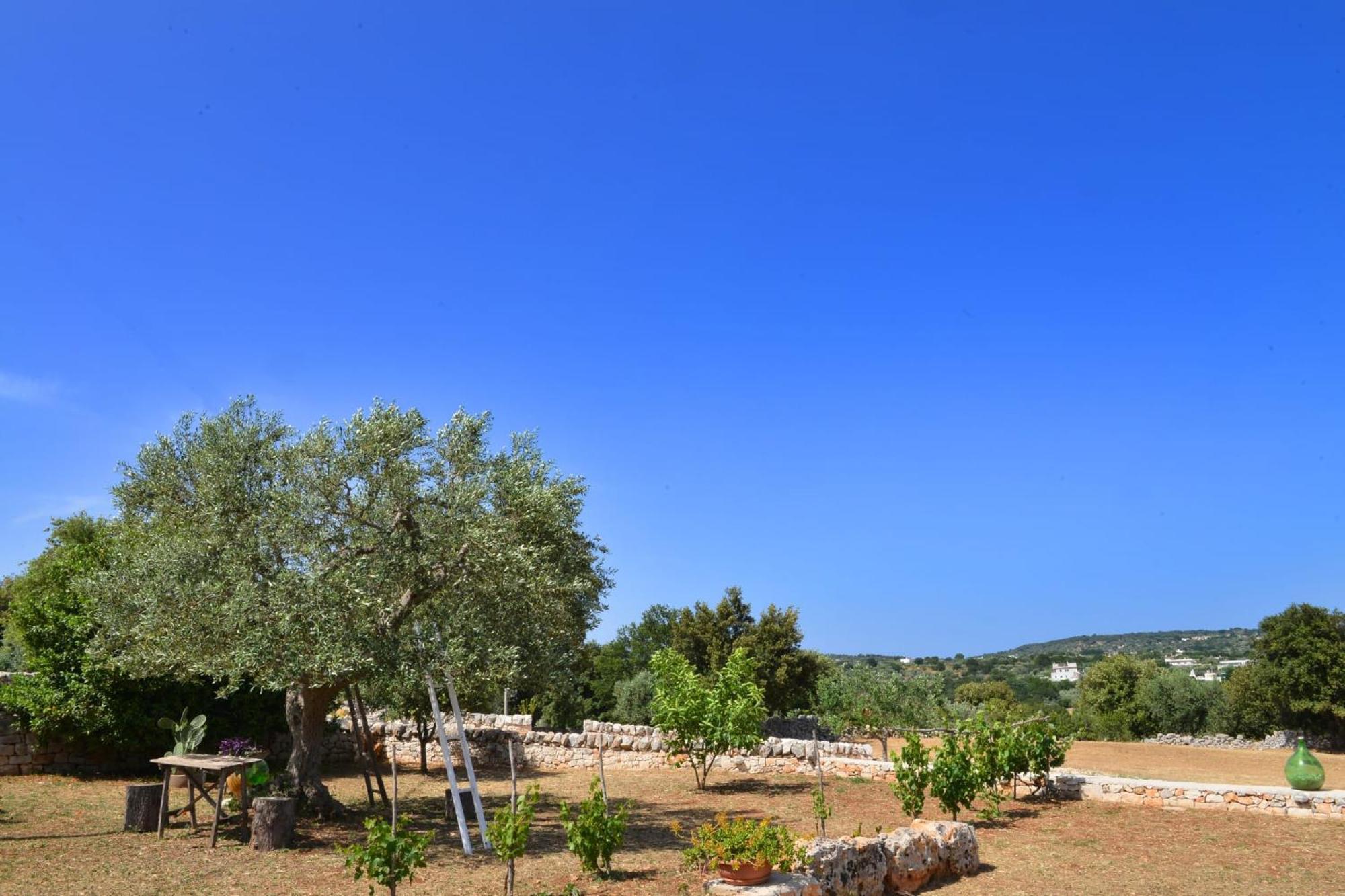 Trullo Gio Cisternino